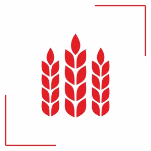 Antrac apa Makineleri